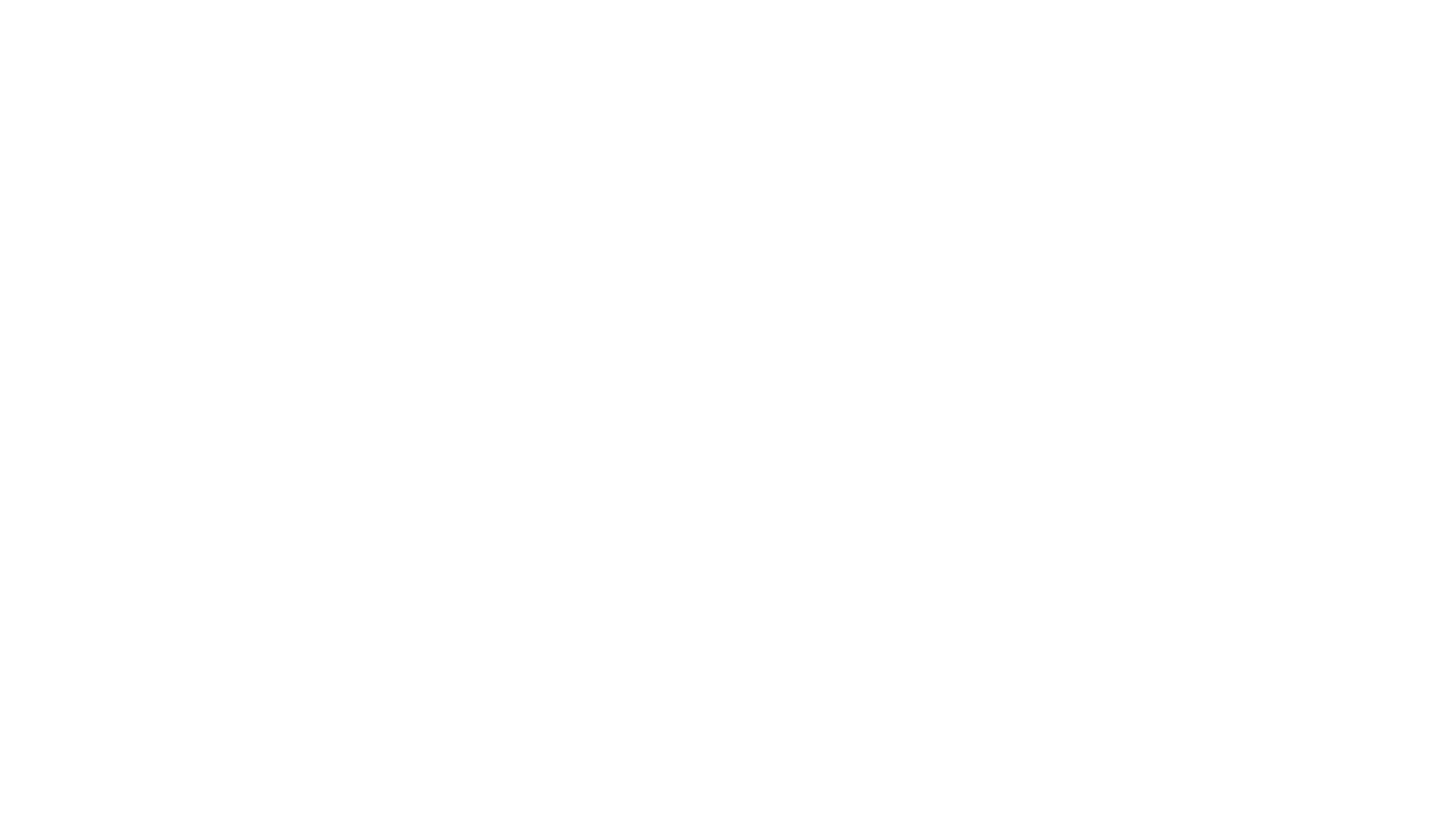 Flyinclub