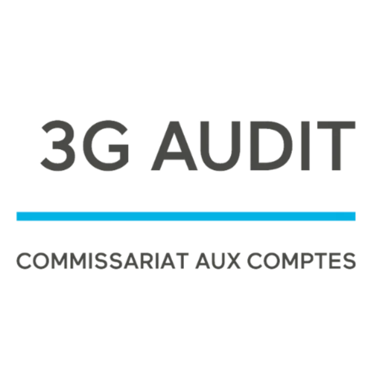 3G Audit