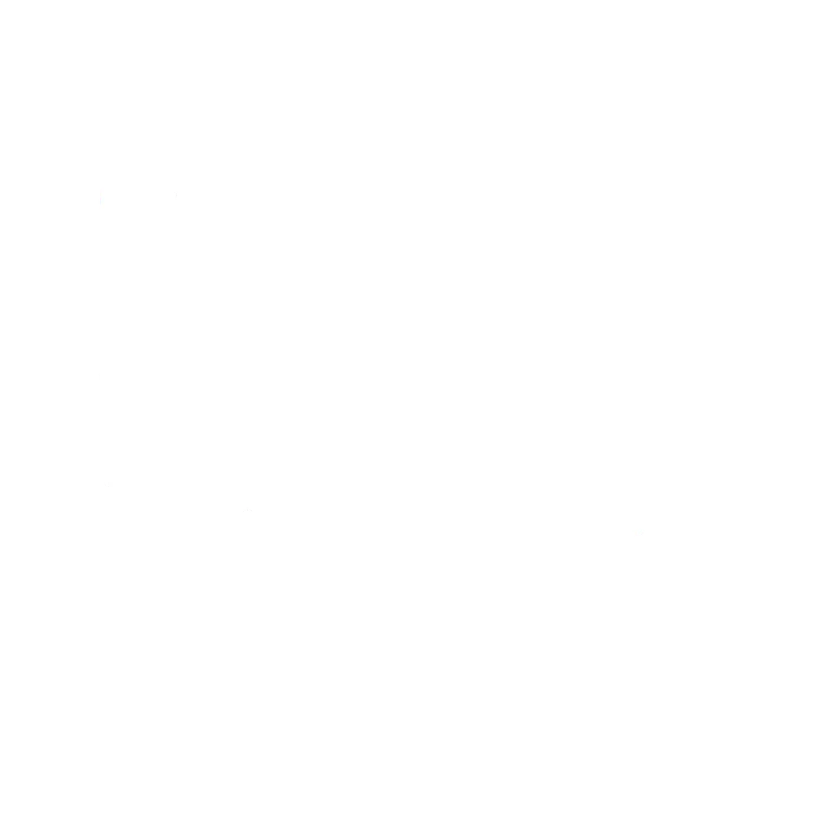 Le Type