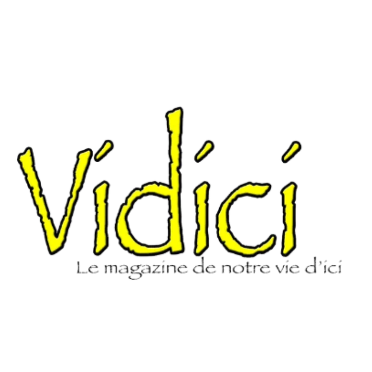 Vidici